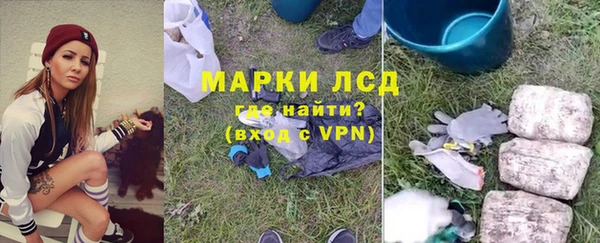 индика Баксан