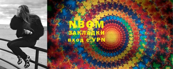индика Баксан