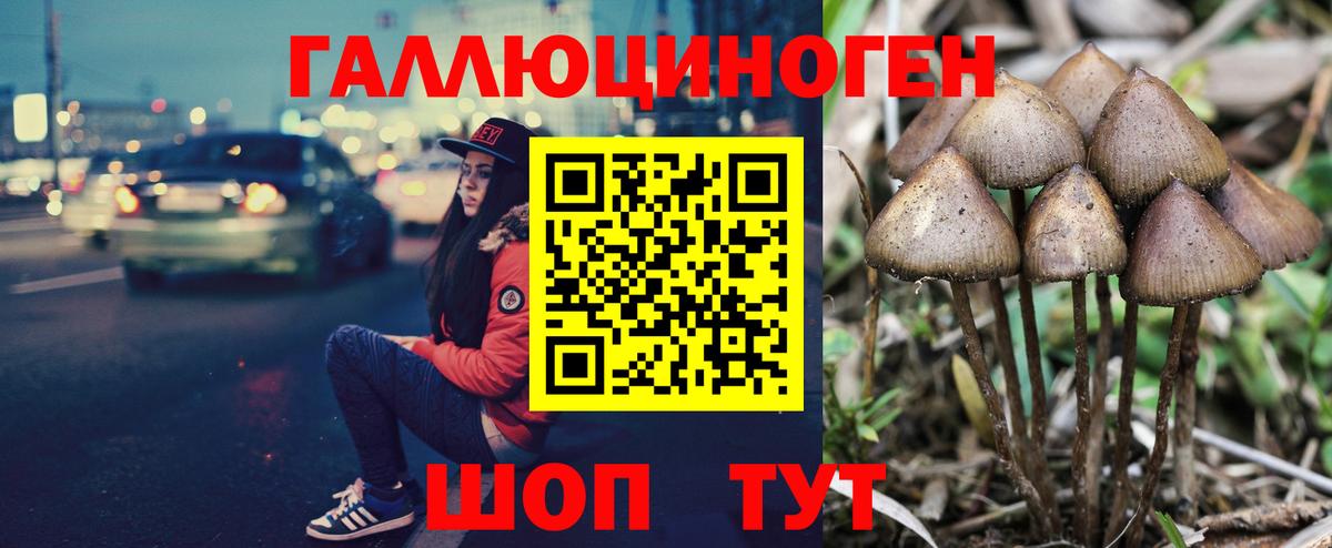 Галлюциногенные грибы мухоморы Чернушка
