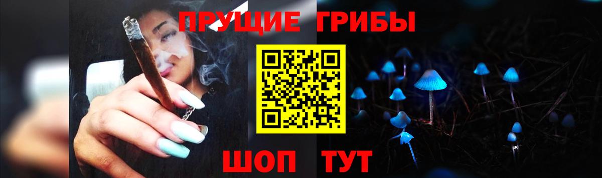 Галлюциногенные грибы Psilocybe  Вход с VPN  Чернушка 