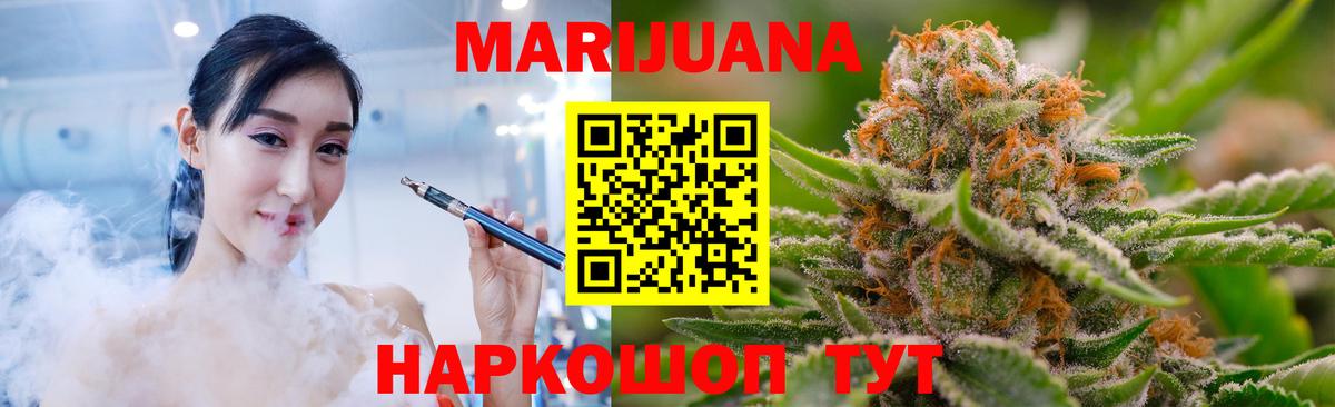 Канабис сатива Чернушка